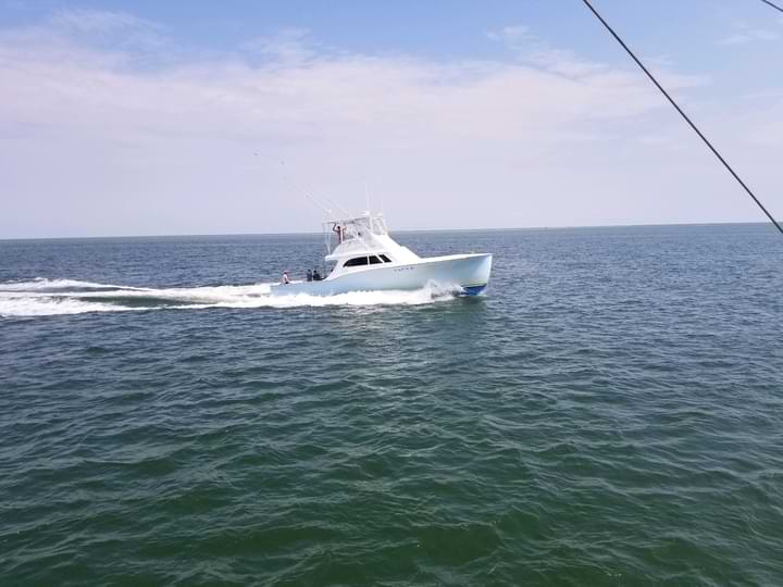 Things To Do Cap'n B Sport Fishing